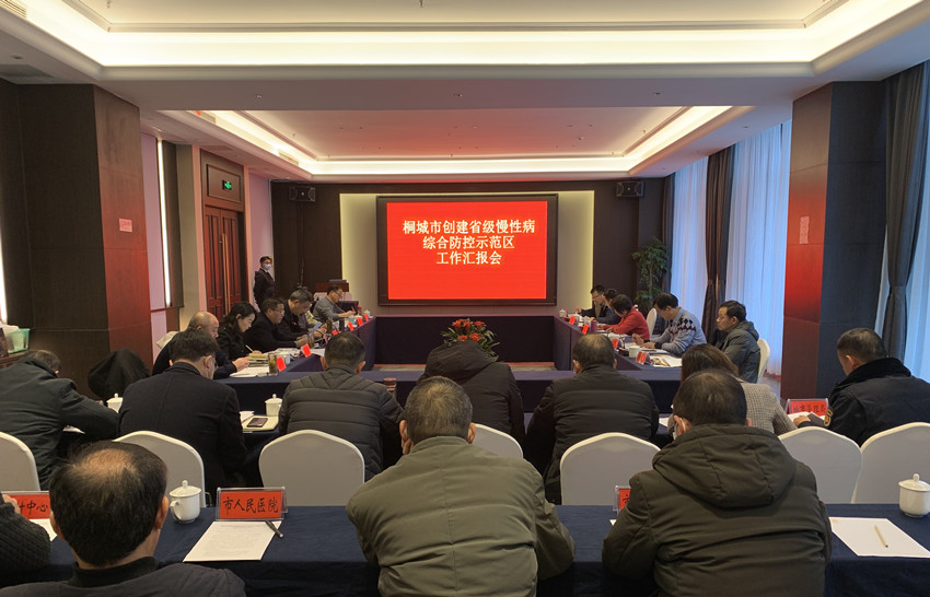 省級慢性病綜合防控示范區工作匯報會1.jpg