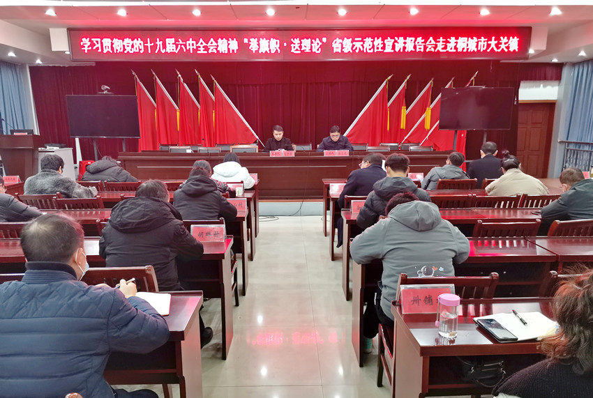 學習貫徹黨的十九屆六中全會精神“舉旗幟·送理論”省級示范性宣講走進桐城市大關鎮1.jpg