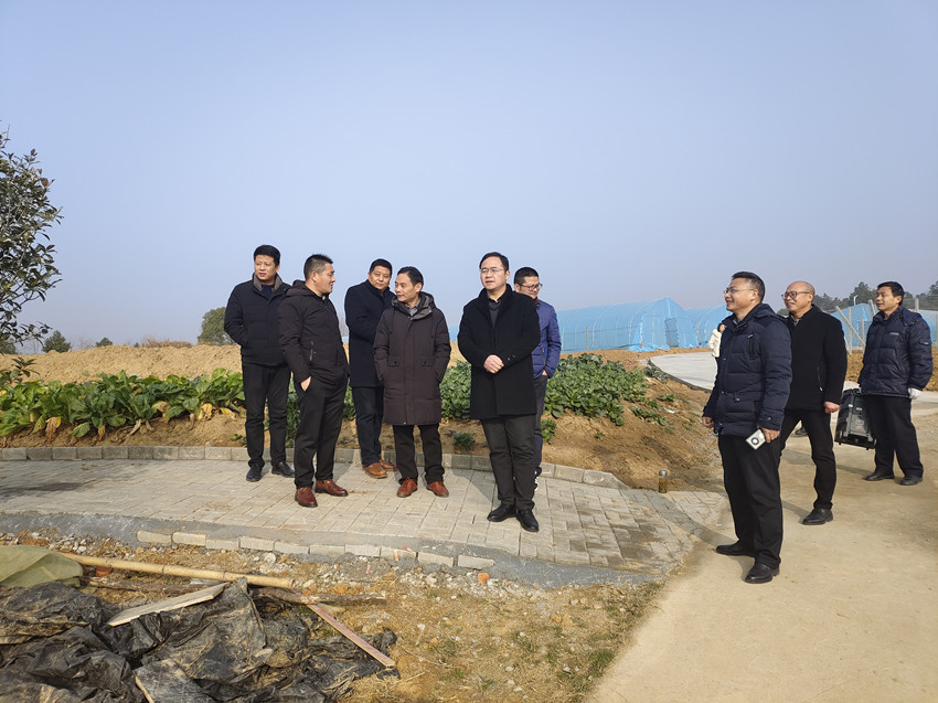 范崗鎮2021年度村級黨組織書記抓黨建工作述職暨“一諾雙評”活動現場調研圖片.jpg