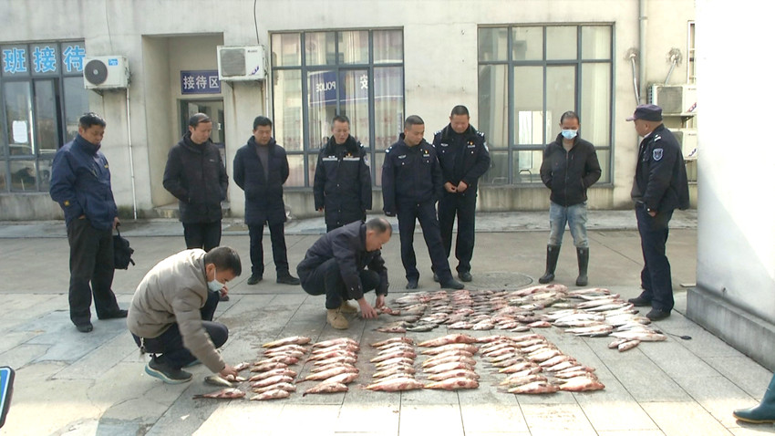 執(zhí)法人員在清理查貨的漁獲物.jpg