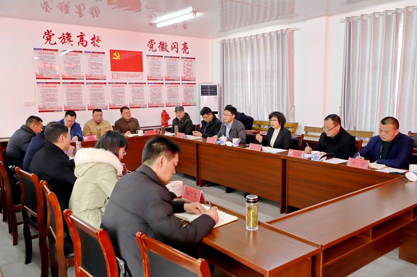 王愛武在水嶺村黨群活動中心主持召開座談會1.JPG