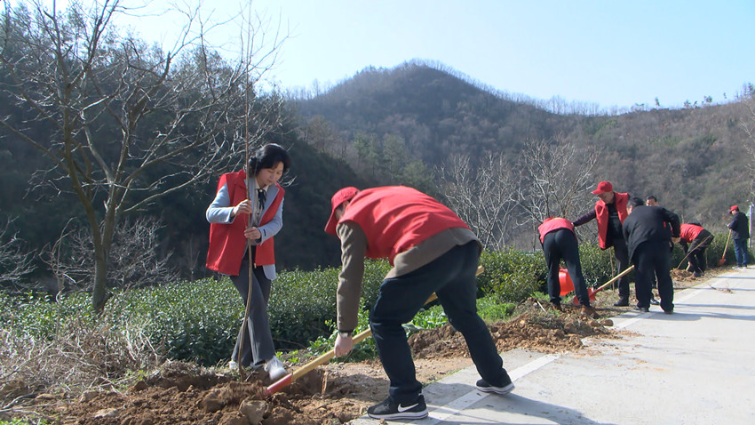 圖為植樹現場。.jpg
