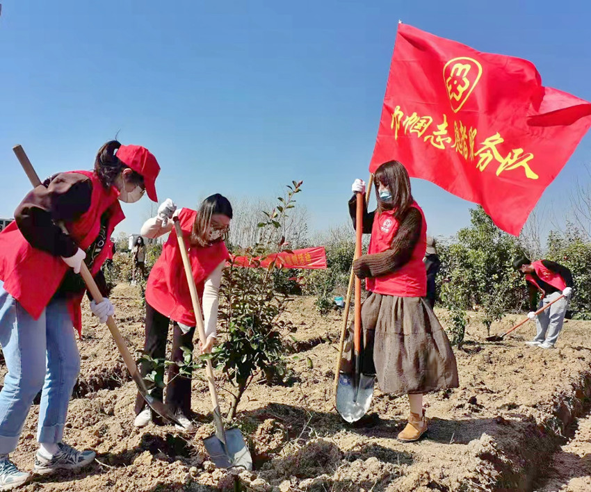 孔城鎮(zhèn)長崗村：春風十里，不如植樹有你6.jpg