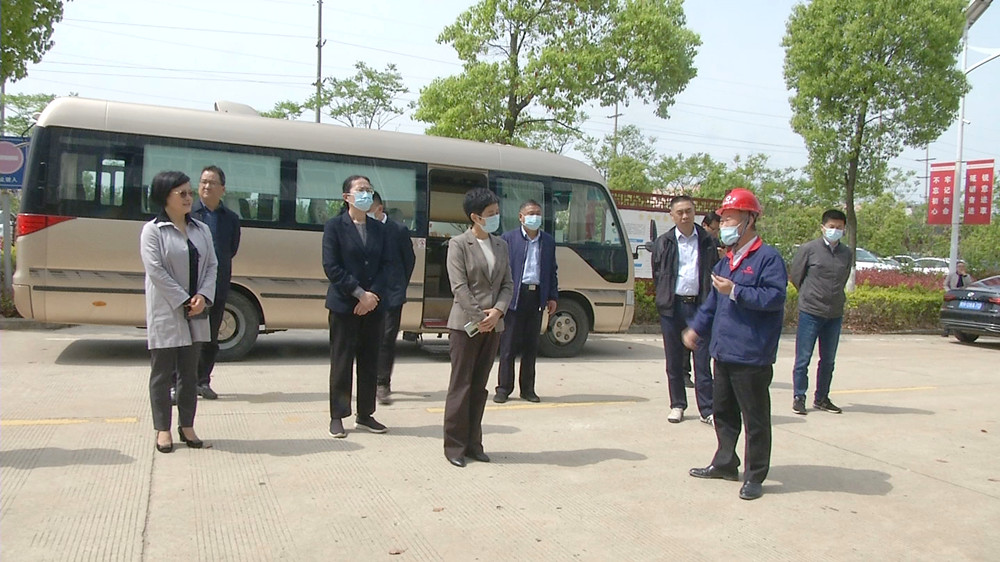 圖為調研組在中國建材桐城新能源企業.jpg
