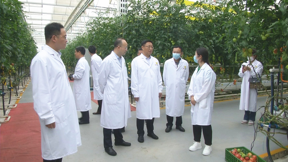 圖為調研組一行在農業智慧產業園.jpg