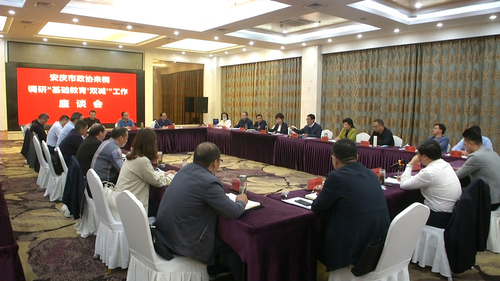 王曉輝來桐調(diào)研座談會(huì)3.jpg