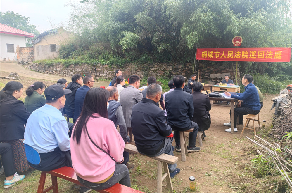 桐城市人民法院巡回法庭進鄉村(2).jpg