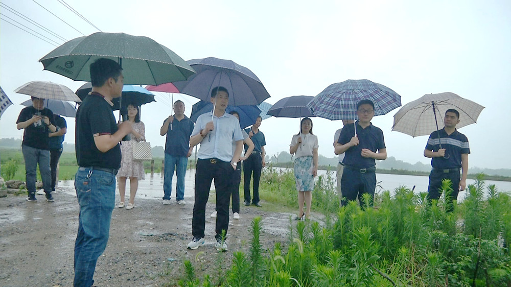 圖為參觀金神鎮包圩村小幸福圩“千畝良田”新增耕地項目.jpg