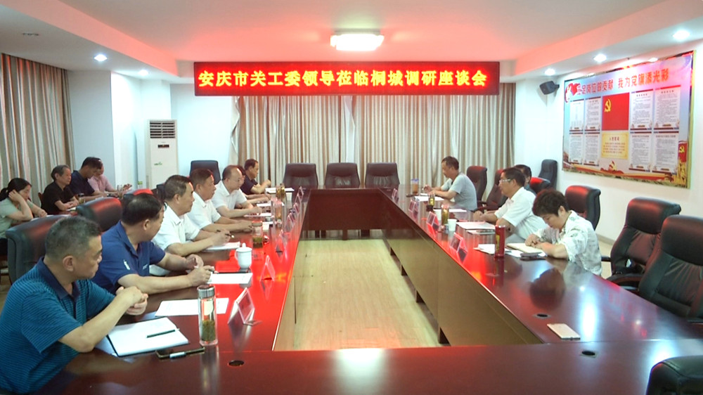圖為安慶市關(guān)工委來(lái)桐調(diào)研座談會(huì)調(diào)研時(shí)的情景.jpg