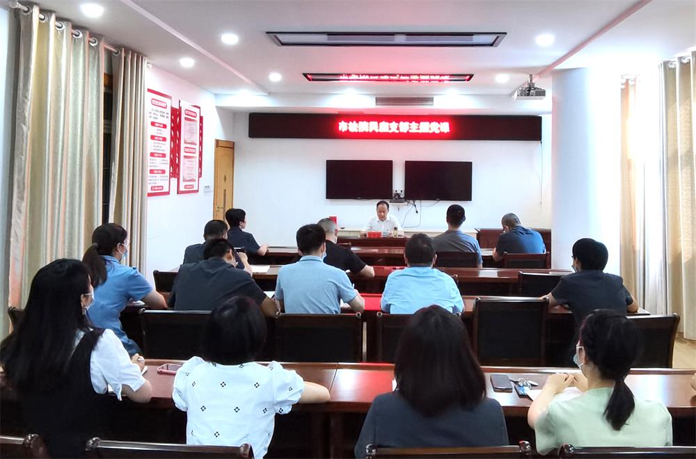 王中龍書記為桐城法院民庭黨支部講黨課.jpg