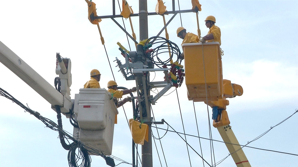 圖為供電公司帶電作業班進行帶電安裝真空開工及搭接引線工作時的情景.jpg