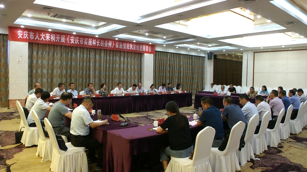 安慶人大來桐開展林長(zhǎng)制執(zhí)法檢查座談會(huì)4.jpg