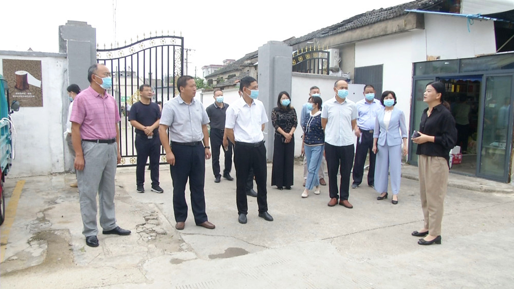 圖為潘利民一行在紅星路菜市場背街小巷調研.jpg