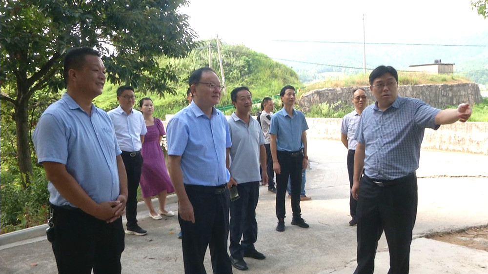 圖為調研組在大關鎮實地調研時的情景.jpg