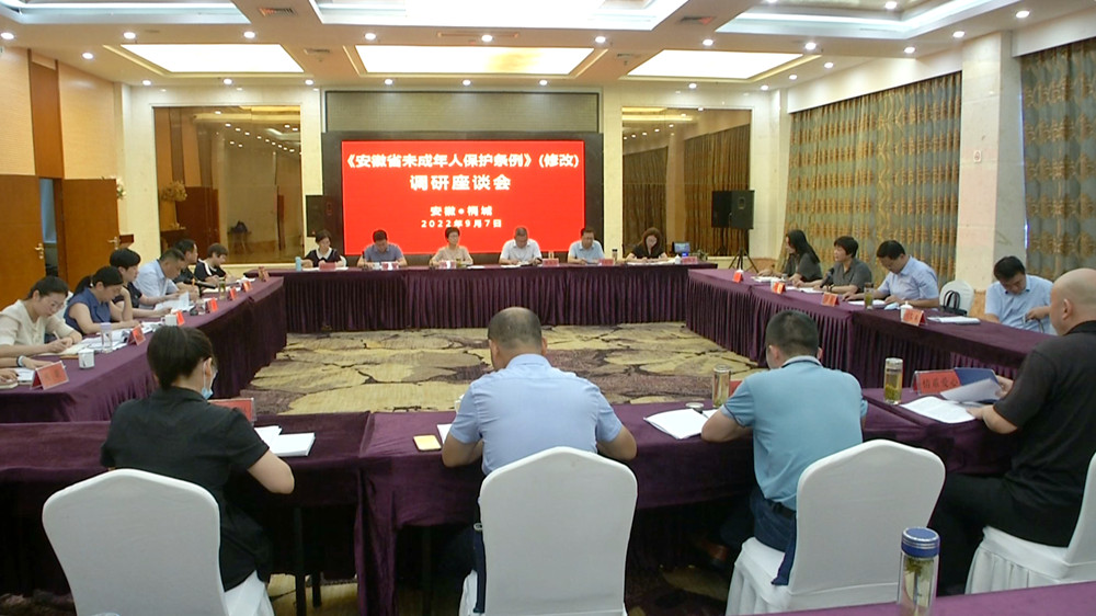 圖為安徽省未成年人保護條例（修改）座談會.jpg
