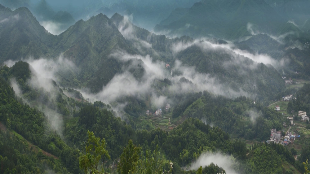 龍眠4.jpg