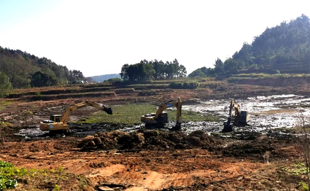 圖為卅鋪村龍江大塘清淤現場.jpg