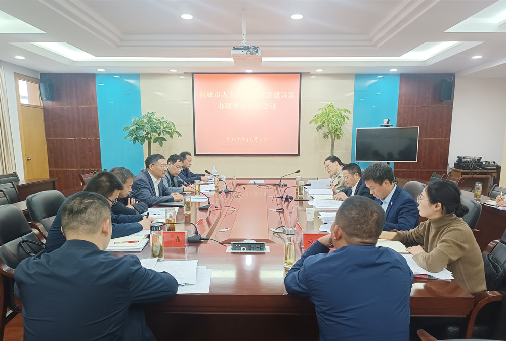 市十七屆人大一次會議代表建議案辦理情況調(diào)研座談會召開3.jpg