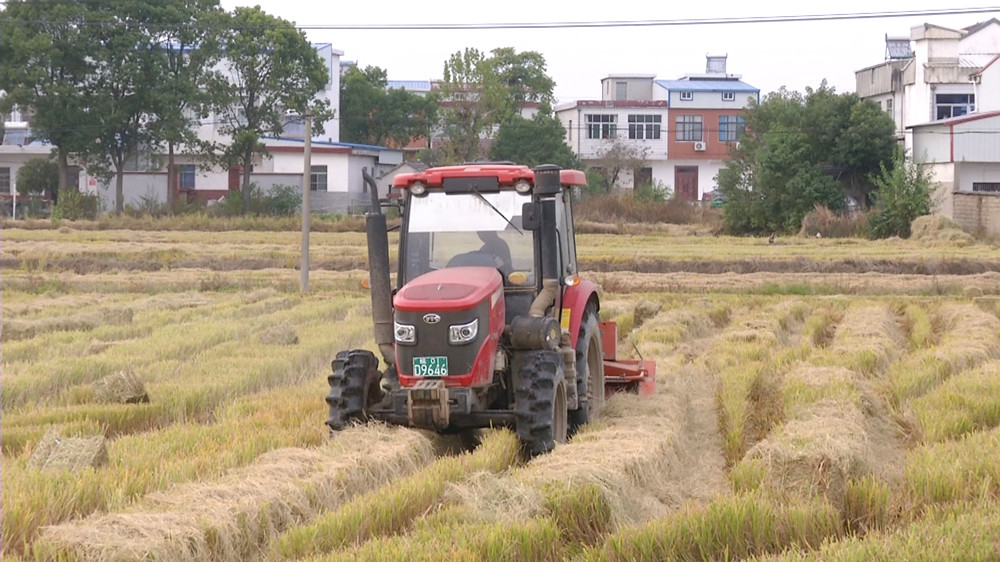 圖為秸稈打捆機正在水稻田里打捆秸稈.jpg