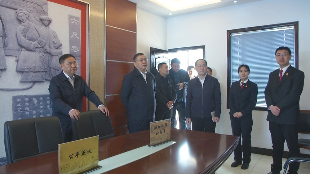安慶市政法委來桐調(diào)研5.jpg