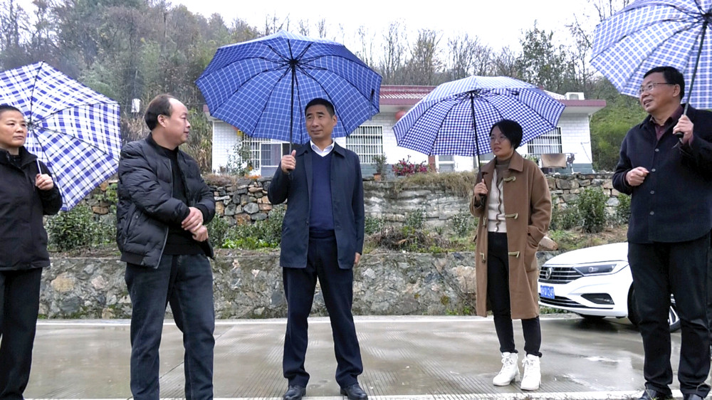 圖為副市長彭凱在黃甲鎮向陽村食用菌種植基地調研.jpg