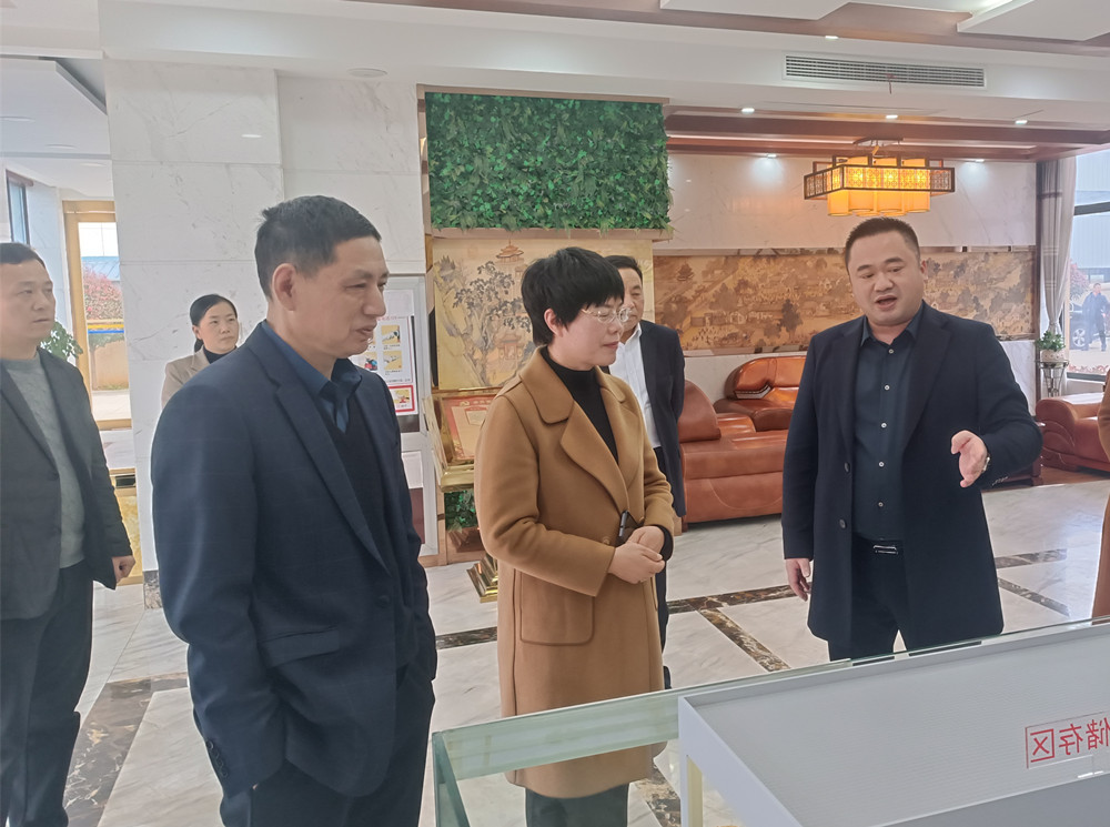 安慶市政協“學習宣傳貫徹二十大”大宣講大調研活動到桐城6.jpg