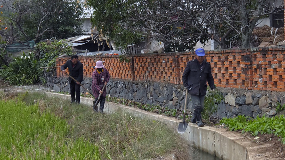 圖為村民們正在沿線溝渠清理雜物，保障水流暢通。 .jpg