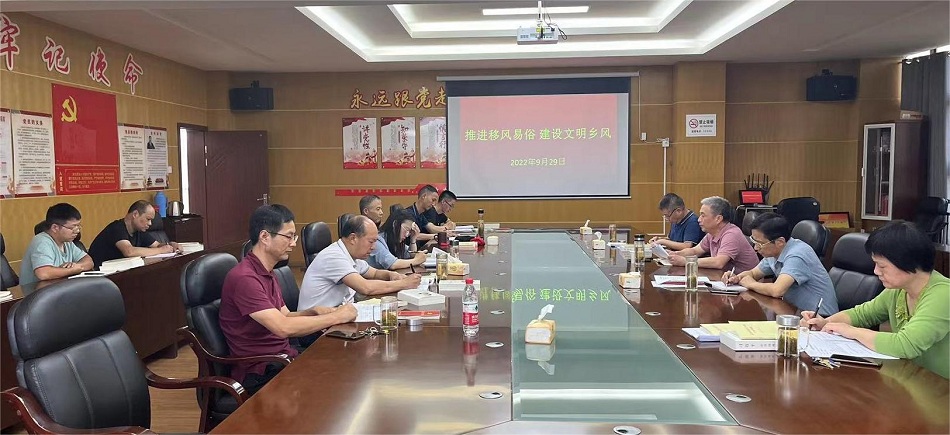 圖為桐城黨校開(kāi)展移風(fēng)易俗宣傳教育.jpg