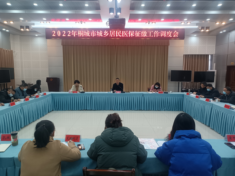 我市召開2022年桐城市城鄉居民醫保征繳工作調度會 (1).png