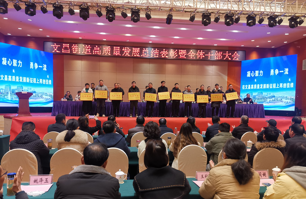 圖為會議對部分先進單位頒發獎章。.jpg
