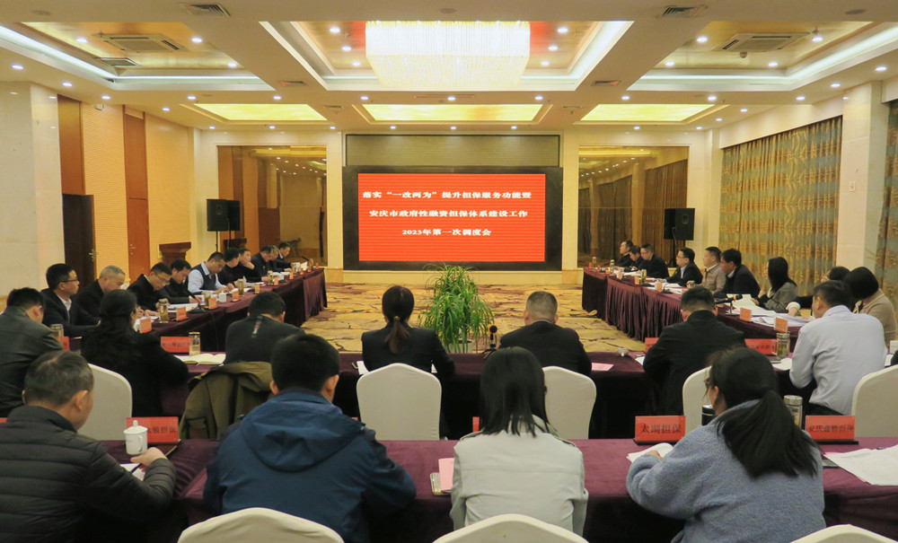 落實“一改兩為”提升擔保服務功能暨安慶市政府性融資擔保體系建設工作2023年第一次調度會召開0.jpg