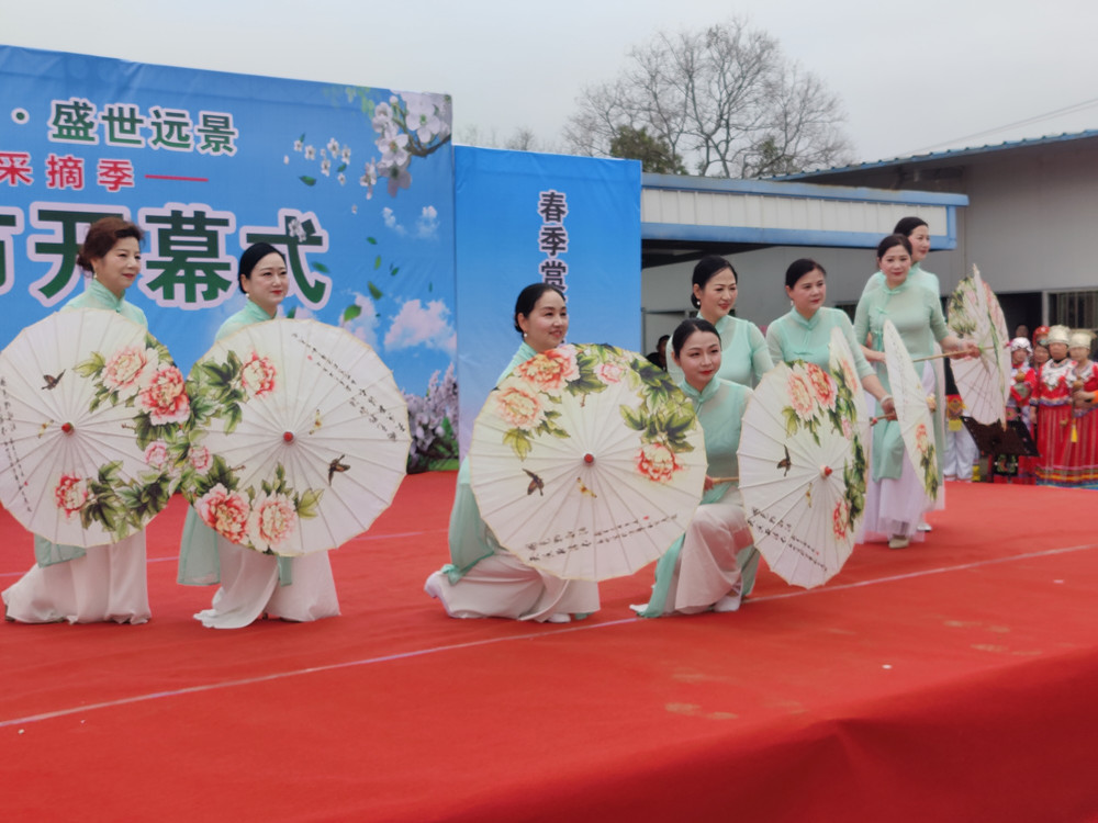 梨花節開幕.jpg
