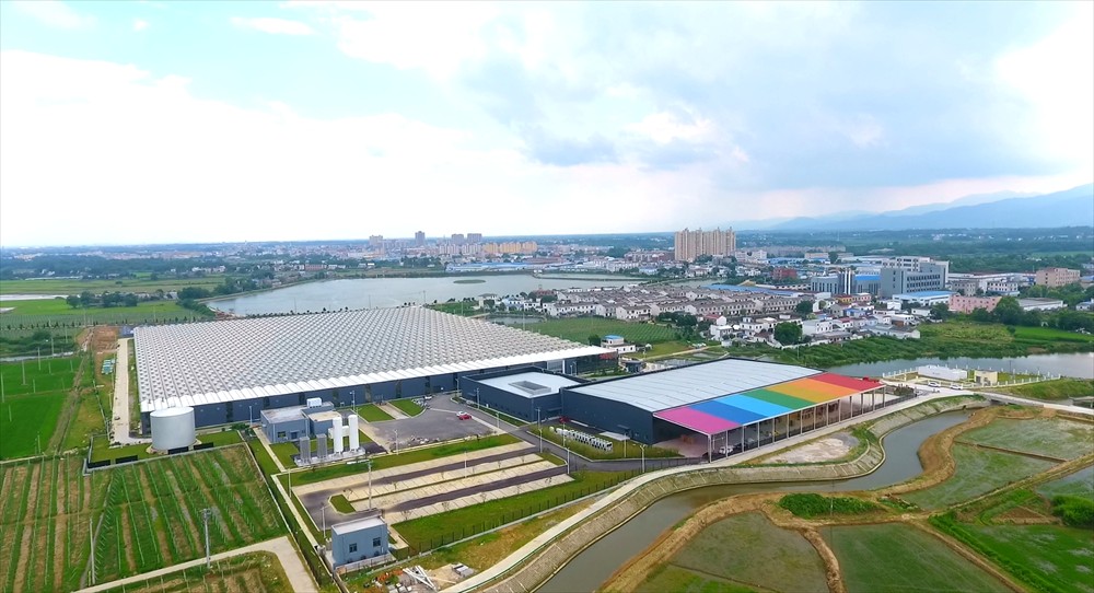 圖為桐城現代智慧農業產業園鳥瞰.jpg