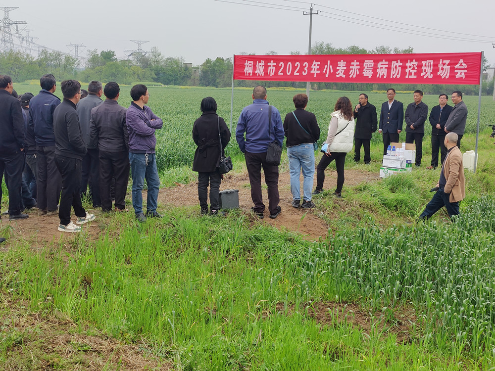 小麥防治會.jpg