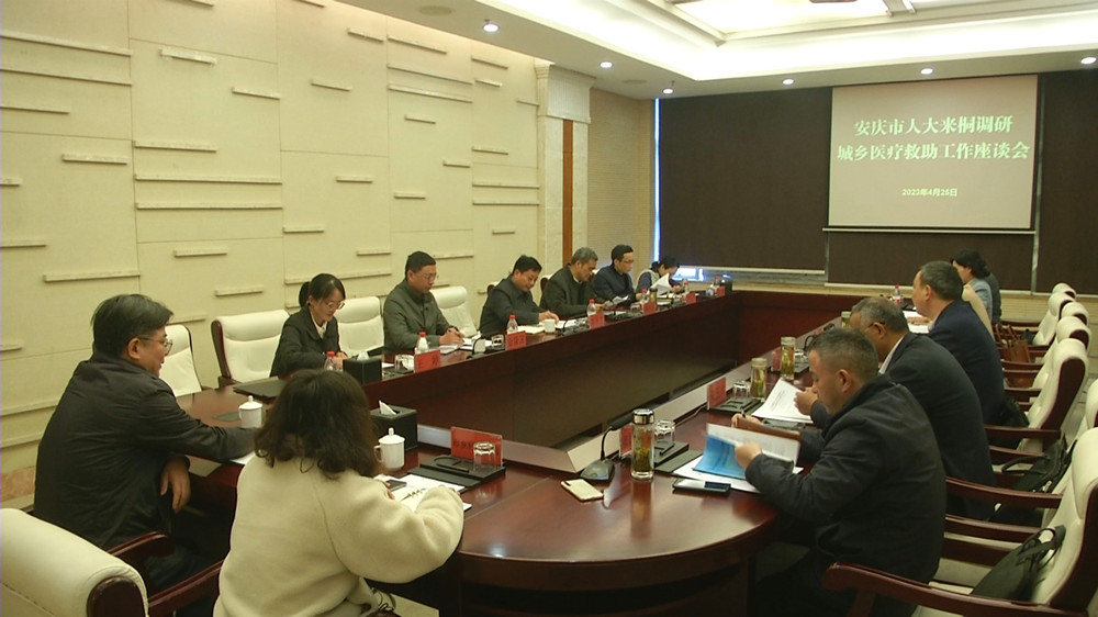 安慶市人大到桐調研醫療救助工作_副本.jpg
