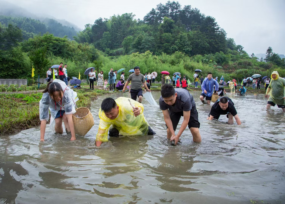 圖為第七屆插秧節(jié)渾水摸魚(yú)現(xiàn)場(chǎng).jpg