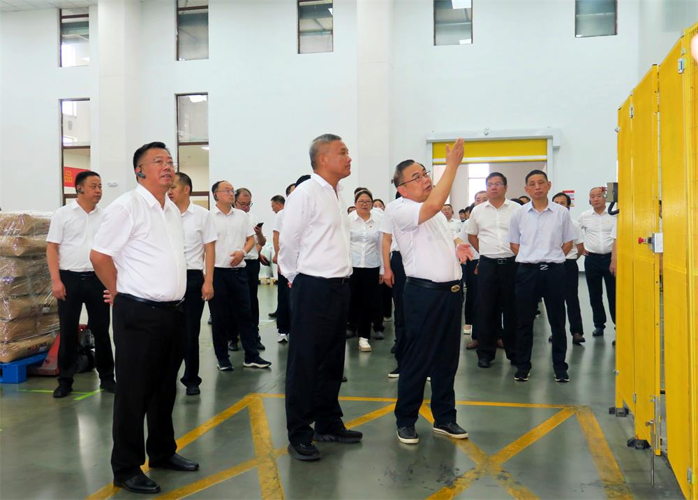 1桐城國軒新能源.jpg