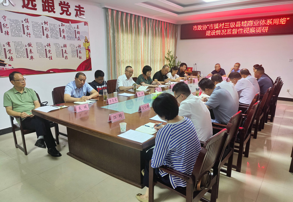 政協調研市縣鎮三級市場.jpg
