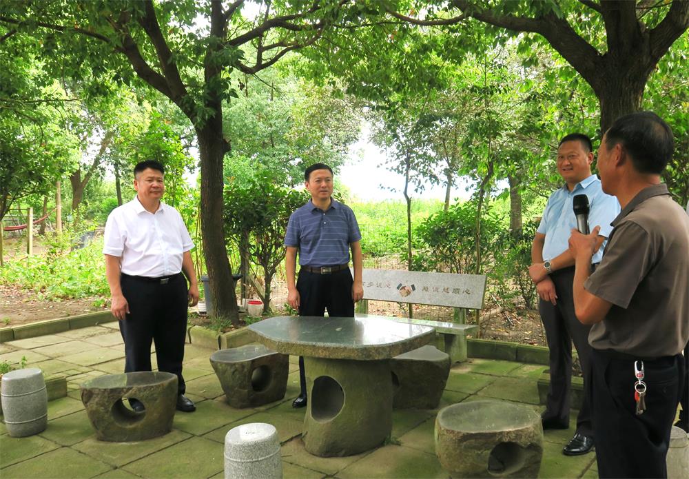 4滁州市明光市蘇巷鎮戴巷村陸郢組.jpg