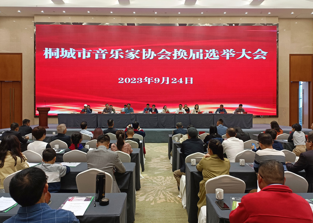 桐城市音樂家協會換屆選舉大會.jpg