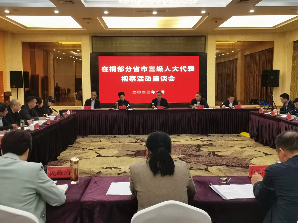 三級(jí)人大代表視察座談會(huì).jpg