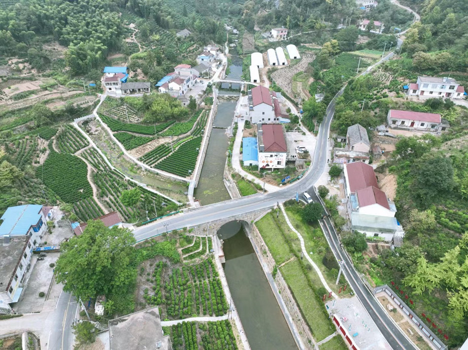 美麗鄉村.jpg