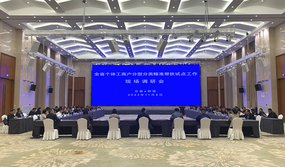 全省個(gè)體工商戶分型分類精準(zhǔn)幫扶試點(diǎn)工作現(xiàn)場(chǎng)調(diào)研會(huì)在桐召開1.jpg