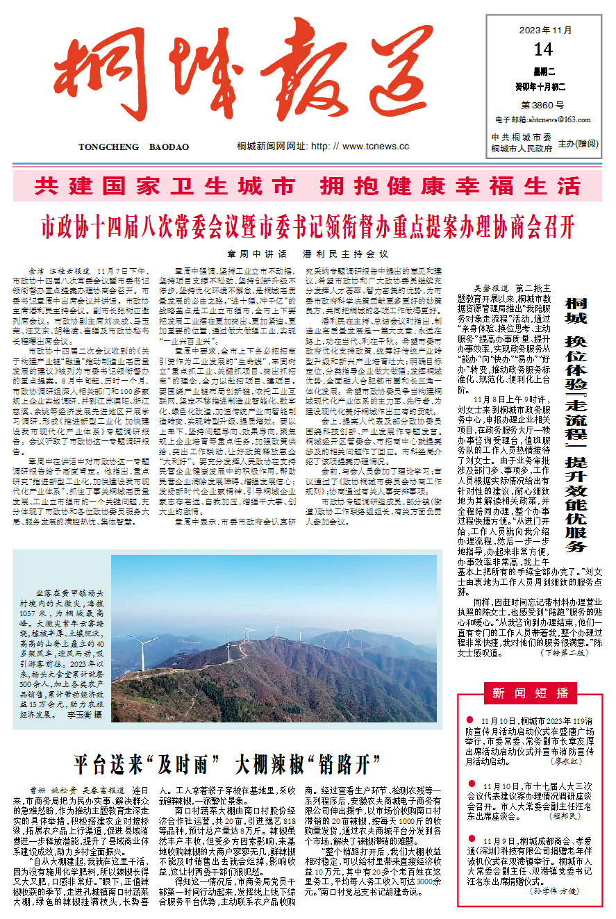 桐城報道.jpg