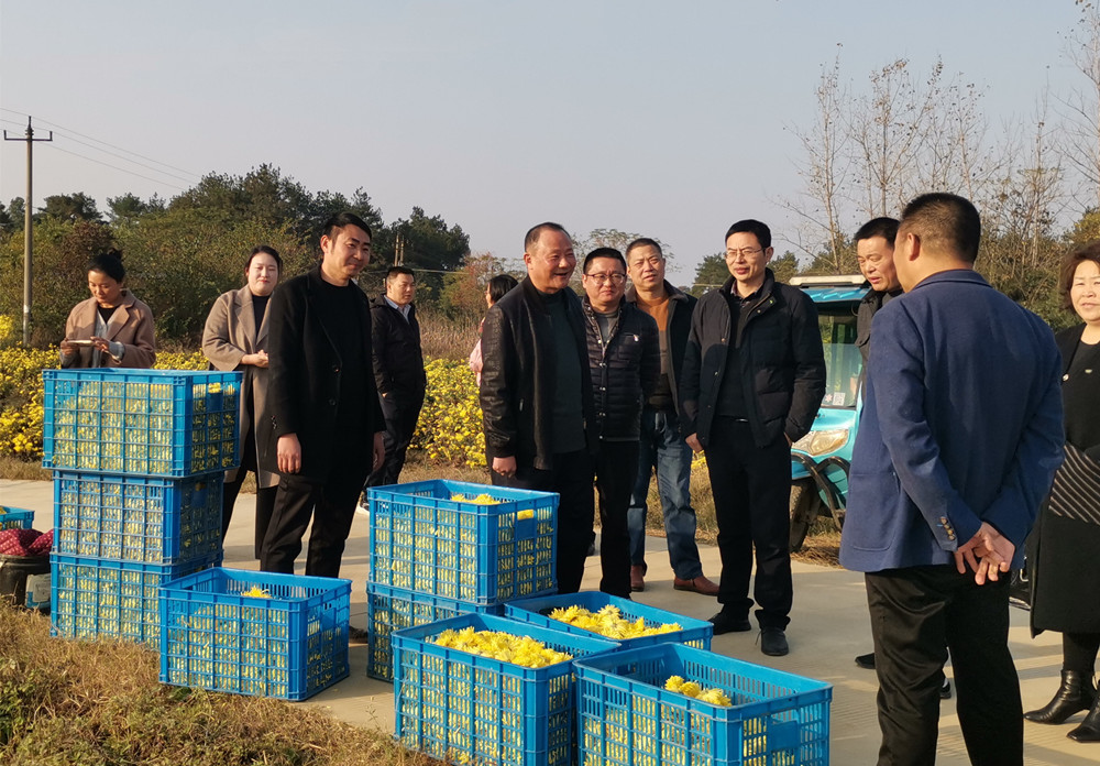 政協調研170號提案.jpg