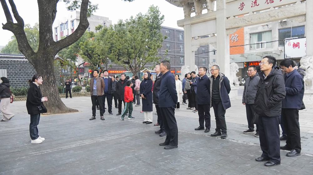 圖為采風(fēng)團(tuán)一行在桐城六尺巷.jpg