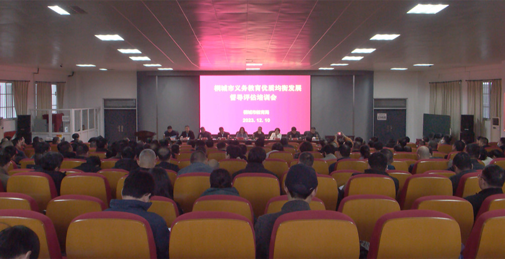 桐城市開展義務教育優質均衡發展督導評估培訓會.jpg
