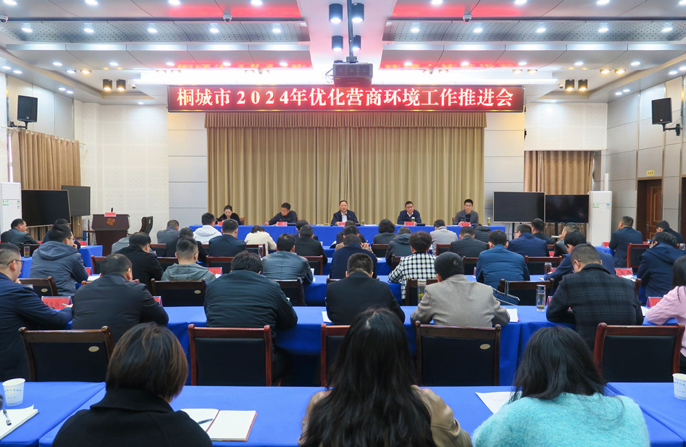桐城市2024年優(yōu)化營(yíng)商環(huán)境工作推進(jìn)會(huì)0.jpg