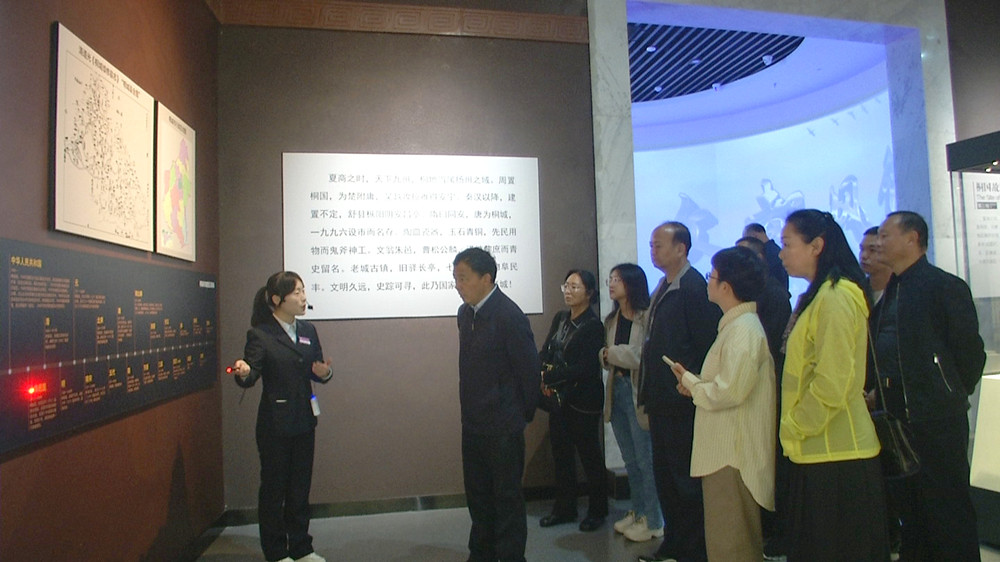 云南德宏政協來桐在桐城文化博物館考察2.jpg