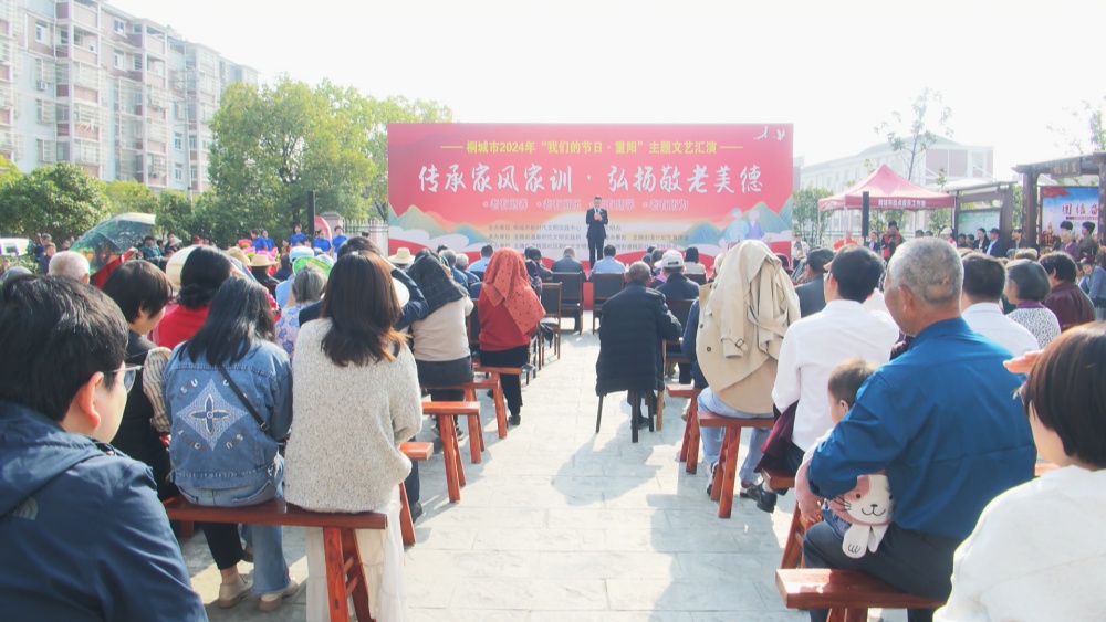 龍騰街道桃園社區重陽文藝匯演.jpg